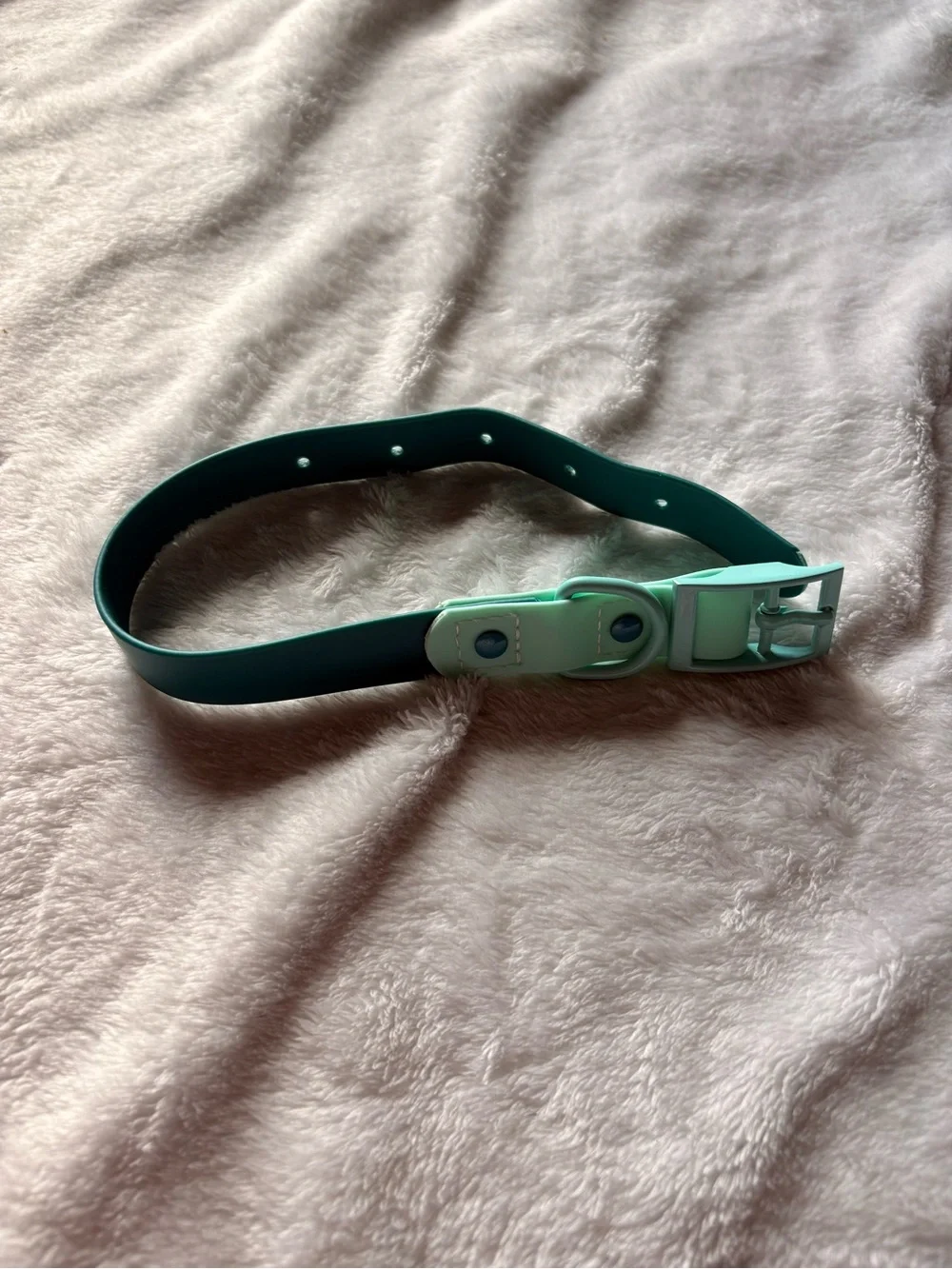 Mint and Teal Adjustable BioThane Dog collar